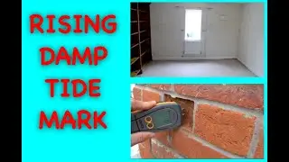 RISING DAMP TIDE MARK