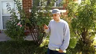 Drain Detectives Testimonial
