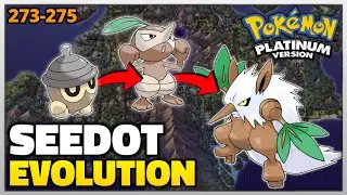 How to Evolve Seedot into Nuzleaf and Shiftry in Pokemon Platinum