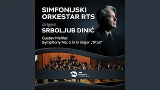 Mahler_ Symphony No. 1 in D Major, GMW 11.png