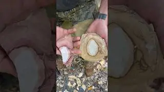 Heat treated chert works easier #novembersouth #flintknapping #primitive #arrowhead #americanamusic