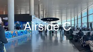 Tampa Airport Airside C