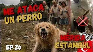 Me ATAC&Oacute; un PERRO en HUNGR&Iacute;A  | El peor momento del viaje | M&eacute;rida - Turqu&iacute;a en moto | EP26