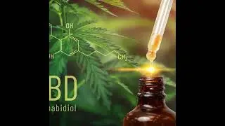 Se 6 Ep 6: CBD for Muscle Recovery?