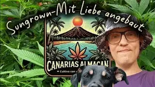 Mein Leben mit med.  Cannabis, Radtour nach Barcelona, MedCanG Reform und Warken mit ihren Kraken 