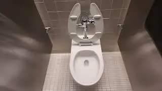 American Museum of Natural History toilets 