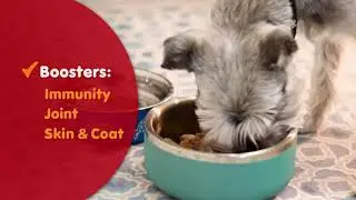 Pet Food Express