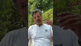 Gemischtes Bild auf den Tellern der Bundestagskantinen