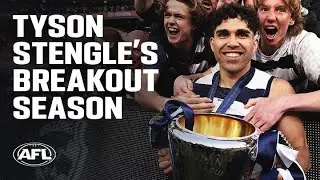 Stengle's dream return to the AFL ends with a premiership | AFL
