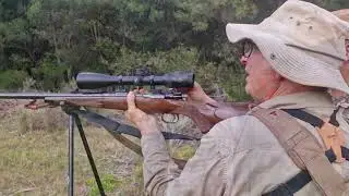 Wild Boar hunting outside George in Western Cape Province of South Africa