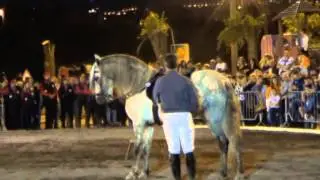 Un cavallo per amico - Una magnifica giornata di festa e amicizia