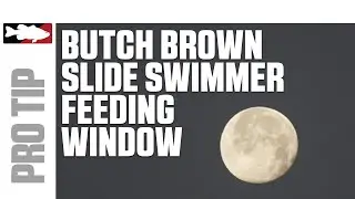 Butch Brown Discusses Moon Phases and Feeding Windows for Deps 250 Slide Swimmer
