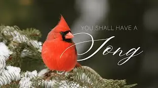 RPI’s Annual Holiday Concert: “You Shall Have A Song”