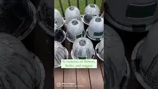 🌱 Winter Sowing gives the strongest plants 🌱