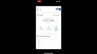 HR Strategies Time Tracker App [Demo]