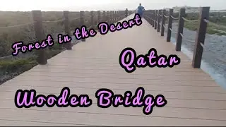 Wooden Bridge and Mangroves Forest at Purple Island I Qatar