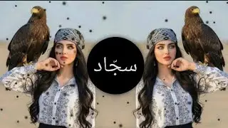 New Arabic Remix Song 2026 | ArabicSong | Slowed Reverb | Bass Boosted | ArabicRemix Songs