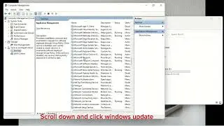 How to disable automatic update on windows 11 and windows 10