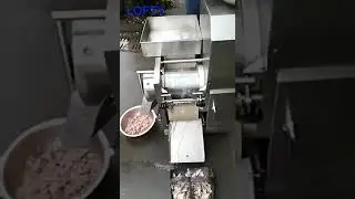 Small Fish Flesh Extract Machine ------ LOFTY MACHINERY