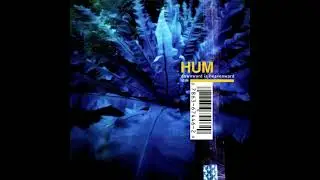 Hum- If You Are to Bloom (Guitar Backing Track w/ Vocals)