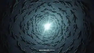 Noam Ben Omri - Seabed Daydreams || Full Album