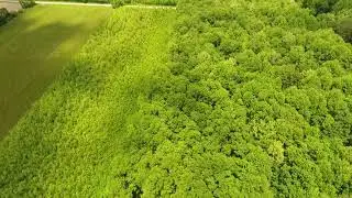 New tree planting at Jackson-Washington State Forest