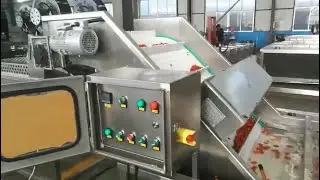 Cherry Tomatoes Washing Sorting Line Mini Tomato Cleaning Drying Machine Cherry Fruit Size Sorter