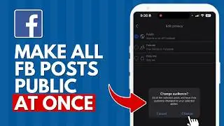 How to Make All Your Facebook Posts Public At Once (2025 UPDATE)