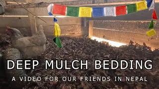 Deep Mulch Bedding to keep our Coop Clean