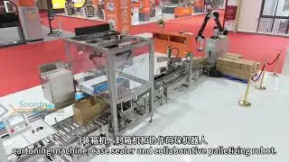 Soontrue Sinking 1-to-2 Auto-Feeding Packaging System | End-to-End Automation for Bakery Products