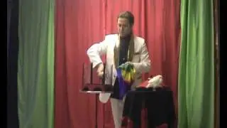 Magic  Cage