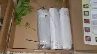 🎁РАСПАКОВКА ПОСЫЛКИ 🌹ОТ 