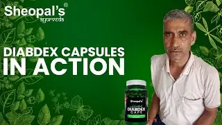 Diabdex Capsules in Action | Diabdex | Sheopal's