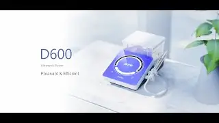 DTE D600 LED Ultrasonic Scaler: Features & Root Canal Irrigation | VSDent