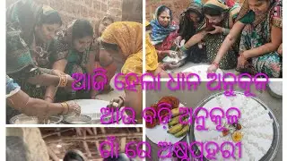ଆଜି ହେଲା ଧାନ ଅନୁକୂଳ ଆଉ ବଡ଼ି ଅନୁକୂଳ #ଗା଼ଁରେ ଆଜି ଅଷ୍ଟପ୍ରହରୀ #କାଳୀୟଦଳନ#Meera vlogs