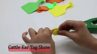 Animal ear tag