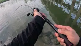 4K Bass Fishing Live Streaming Highlight in USA River Megabass Shimano Metanium DC Jackall KSK BAITS