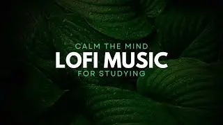 Dreamlike Soundscapes | Lo-Fi Beats with Ambient Textures & Unconventional Percussion