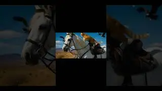 Cat riding a horse😼  . #orangecat #cats