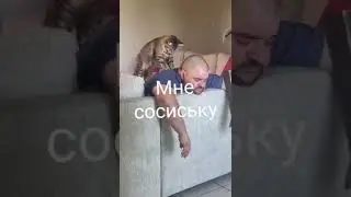шельма#shorts