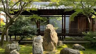 Kyoto Zen Garden Sunshower 🌦️ Calming Rain & Music for Meditation & Relaxation | 3 Hours
