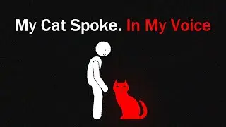 You Called Your Cat&hellip; And It Spoke Back | Analog Horror Transmission
