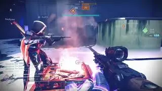 D2 Assortment