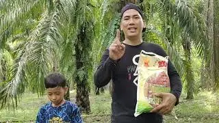 Pemupukan Plant Catalyst 2006 Dengan Cara Menabur Pada Piringan