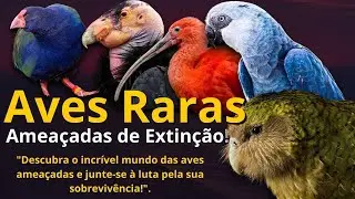 Descubra o incr&iacute;vel mundo das aves amea&ccedil;adas e junte se &agrave; luta pela sua sobreviv&ecirc;ncia!