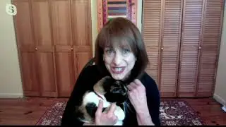 My Magic Carpet Washable Ramage on QVC