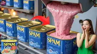The Incredible Journey of SPAM: From Factory to Table Secrets Revealed | Canned Meat Factory Process