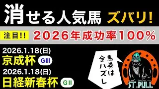 [Eliminating Popular Horses] About the 2026 Keisei Hai and Nikkei Shinshun Hai