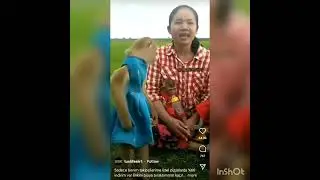 monkey wearing a Dress 😜😅