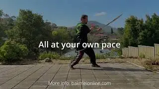 Learn Bak Mei Kung Fu on our Free WhatsApp Group